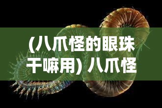 (八爪怪的眼珠干嘛用) 八爪怪的奥秘：揭秘深海生物的独特生存策略与未知世界的探索之旅